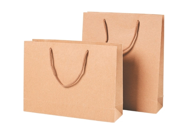 Customized Paper Shopping Bag